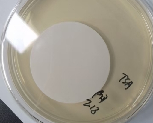 在日常微生物限度檢查中，應該做幾個(gè)稀釋級